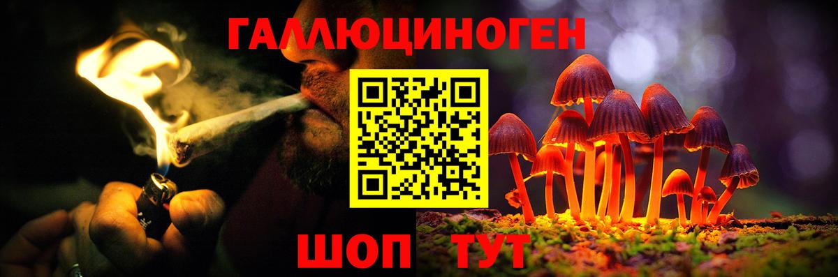 Тайшет  Галлюциногенные грибы Magic Shrooms  где можно купить   Псилоцибиновые грибы Magic Shrooms  Вход с VPN 